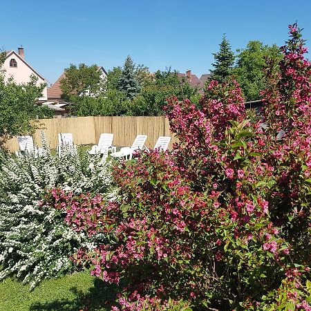 Kovacs Vendeghaz Apartment Matraderecske Exterior photo